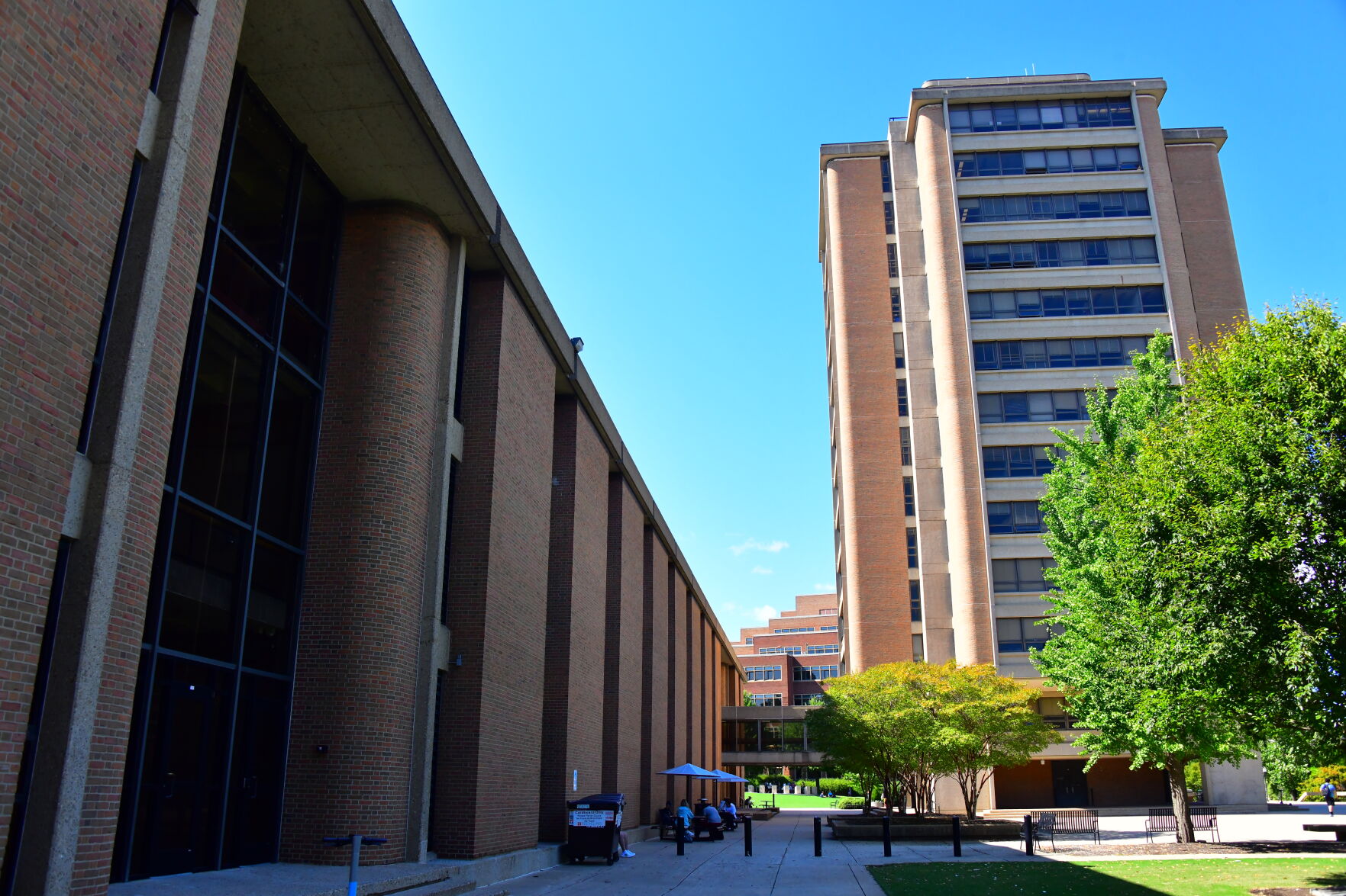 HSS and McClung
